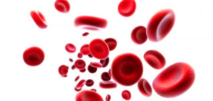 كرات-دم-حمراء-تتحرك-فى-الشريان-اثناء-اختبار-تحديد-فصيلة-الدم